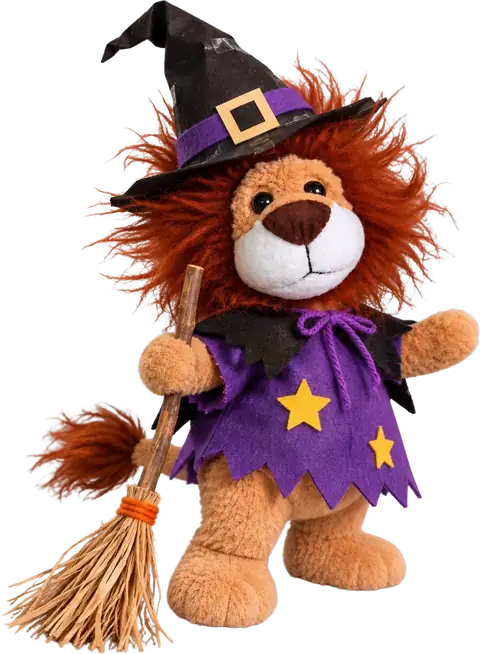 Leo disfrazado de Brujo
